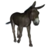 Tabela do Jogo do Bicho - Burro